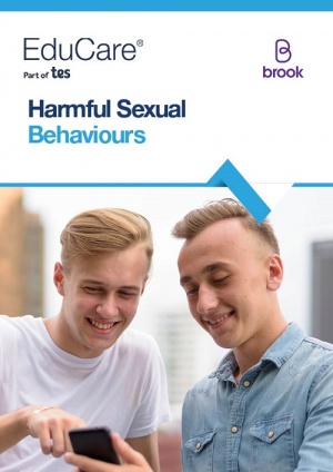 Harmful Sexual Behaviours